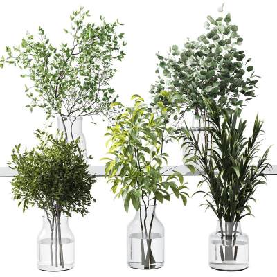 水生植物-9